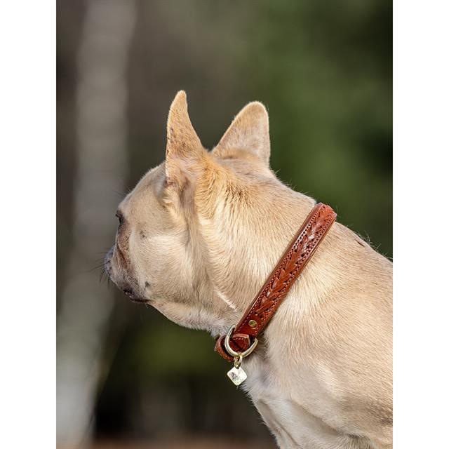 Dog Collar LeMieux Oxford Light Brown