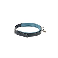 Dog Collar LeMieux Windsor Black-Blue