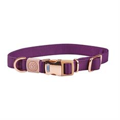 Dog Collar WeatherBeeta Elegance Purple