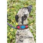 Dog Collar WeatherBeeta Lurcher Multicolour