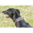 Dog Collar WeatherBeeta Lurcher Multicolour