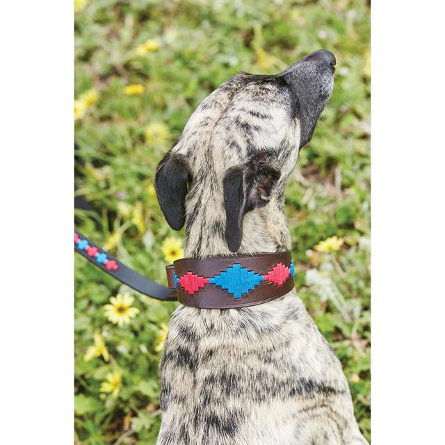 Dog Collar WeatherBeeta Lurcher Multicolour
