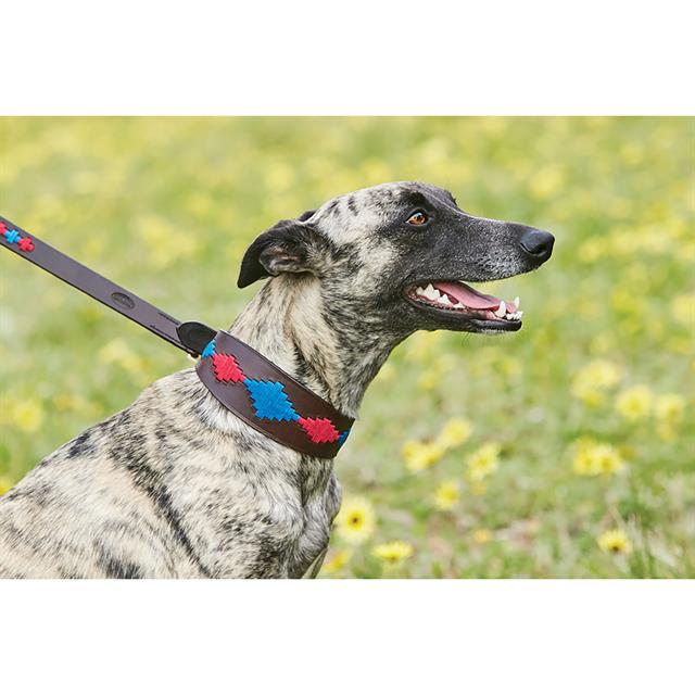 Dog Collar WeatherBeeta Lurcher Multicolour