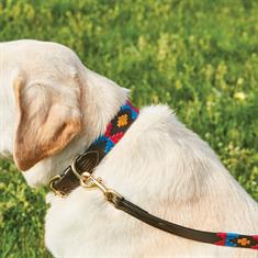Dog Collar WeatherBeeta Polo Mid Brown-Pink