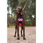 Dog Harness Weatherbeeta Anti-pull Black-Pink