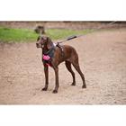 Dog Harness Weatherbeeta Anti-pull Black-Pink