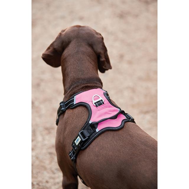 Dog Harness Weatherbeeta Anti-pull Black-Pink