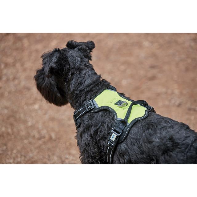 Dog Harness Weatherbeeta Anti-pull Black-Yellow