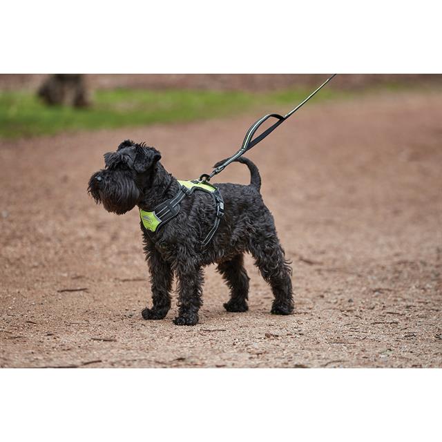 Dog Harness Weatherbeeta Anti-pull Black-Yellow