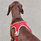 Dog Harness WeatherBeeta Elegance Red