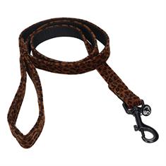 Dog Leash Kentucky Brown