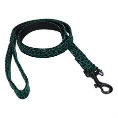 Dog Leash Kentucky Green