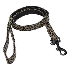 Dog Leash Kentucky Grey