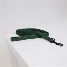 Dog Leash Kentucky Lizard Green