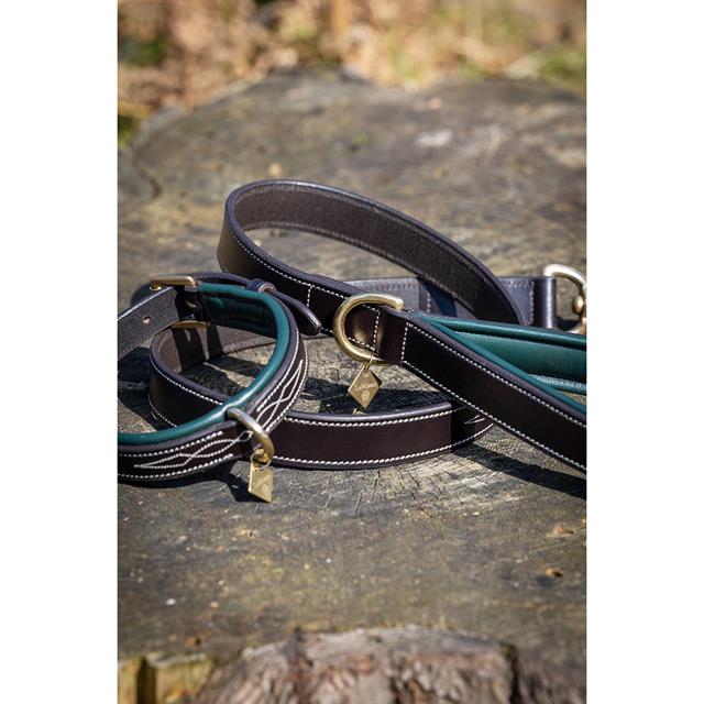 Dog Leash LeMieux Windsor Brown-Green