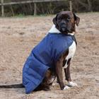 Dog Rug Horsegear Fur Dark Blue