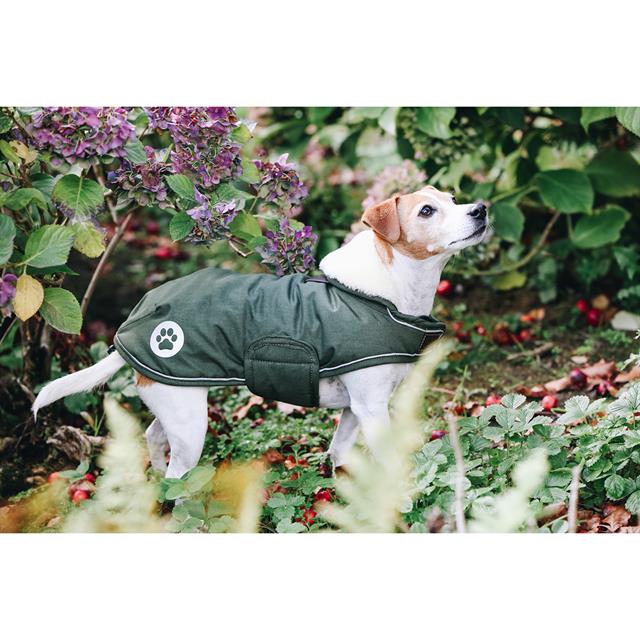 Dog Rug Kentucky Waterproof Dachshund Green