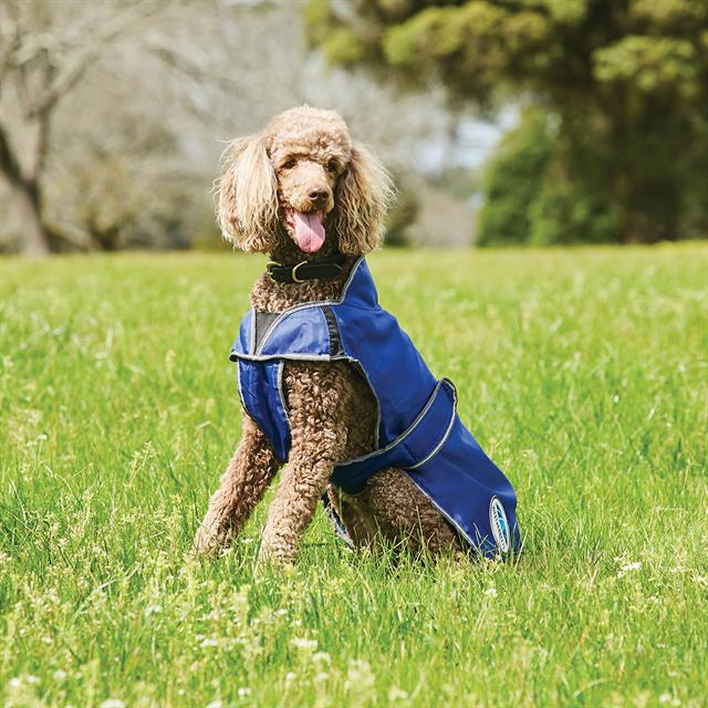 Dog Rug WeatherBeeta ComFiTec Windbreaker Free Dark Blue-Silver