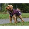Dog Rug WeatherBeeta ComFiTec Windbreaker Free Dark Red