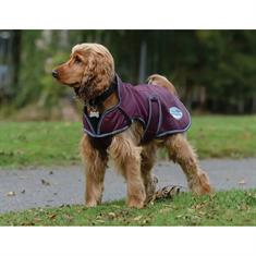 Dog Rug WeatherBeeta ComFiTec Windbreaker Free Dark Red