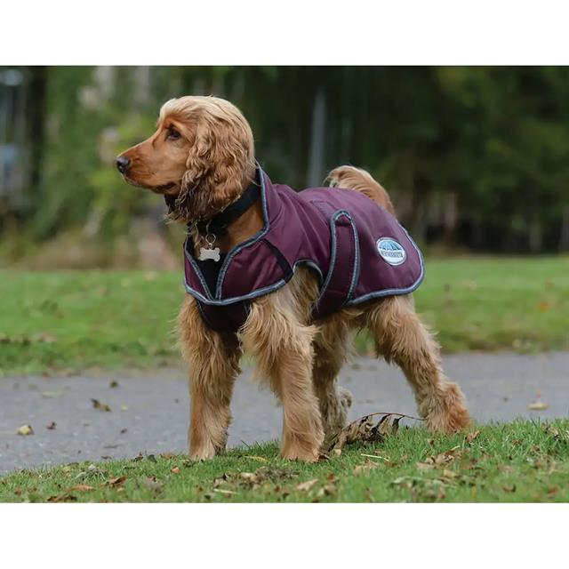 Dog Rug WeatherBeeta ComFiTec Windbreaker Free Dark Red