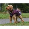 Dog Rug WeatherBeeta ComFiTec Windbreaker Free Dark Red