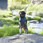 Dog Rug Weatherbeeta Explorer 220gr Dark Blue