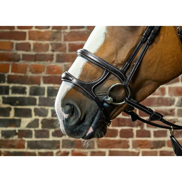 Double Noseband Dy'on D Collection Black