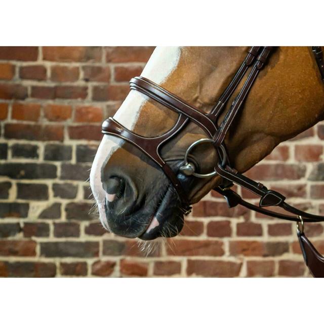 Double Noseband Dy'on D Collection Brown