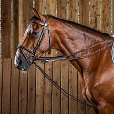 Draw Reins Dy'on Working Collection Leather Brown