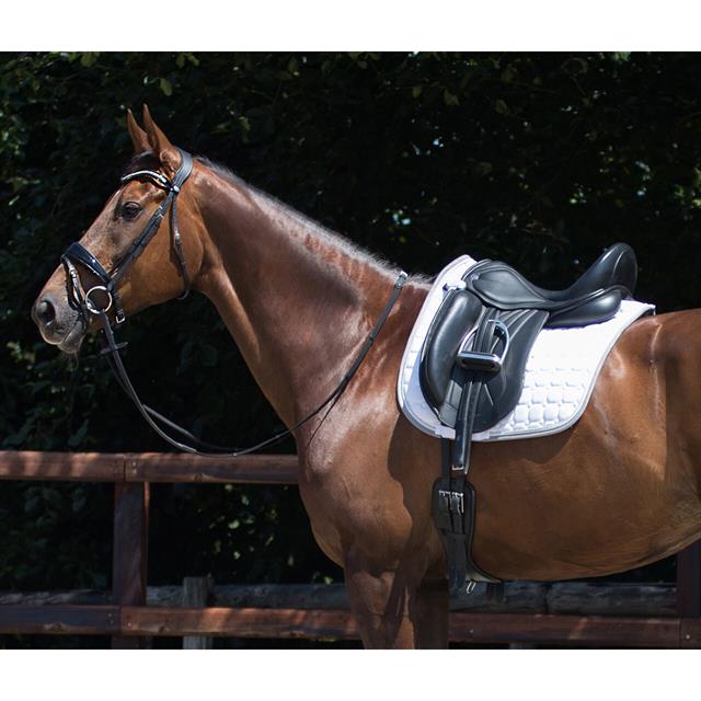 Dressage Girth QHP Anatomical Black