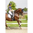 Dressage Saddle Pad Twill ANKY White-Dark Blue