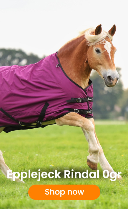 Dropdownbanner Rindal 0gr