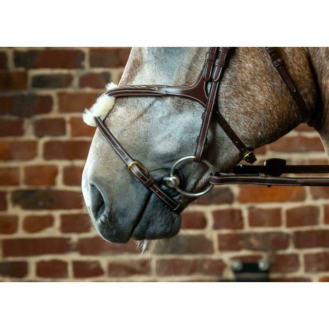 Dy'on D Collection Mexican Noseband Brown