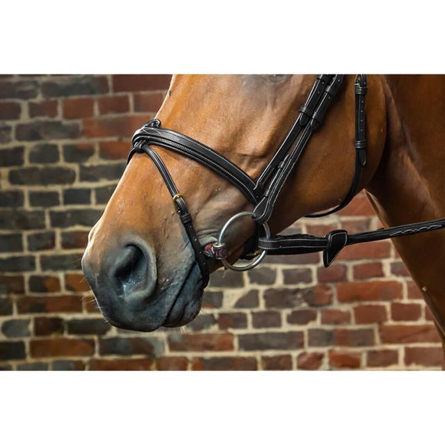 Dy'on Flash Noseband with Removable Cushioned Strap Black