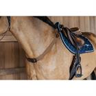 Elastic Breastplate NEC by Dy'on Brown