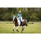 Eventing Number Holder LeMieux Light Blue