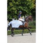 Exercise Sheet Bucas Buzz Off Riding Blue