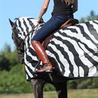 Exercise Sheet Bucas Buzz Off Riding Zebra Zebra