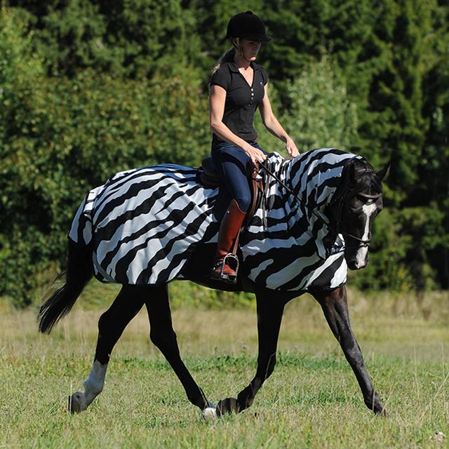 Exercise Sheet Bucas Buzz Off Riding Zebra Zebra