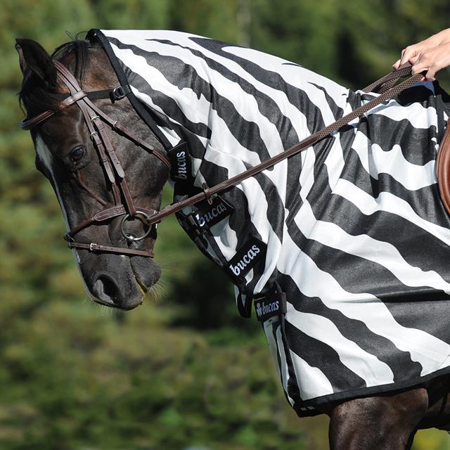 Exercise Sheet Bucas Buzz Off Riding Zebra Zebra