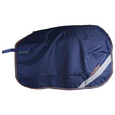 Exercise Sheet Bucas Therapy Dark Blue-Orange