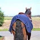 Exercise Sheet Kentucky All Weather 160g Dark Blue