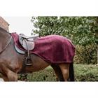 Exercise Sheet Kentucky Heavy Fleece Dark Red
