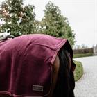 Exercise Sheet Kentucky Heavy Fleece Dark Red