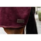 Exercise Sheet Kentucky Heavy Fleece Dark Red