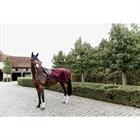 Exercise Sheet Kentucky Heavy Fleece Dark Red
