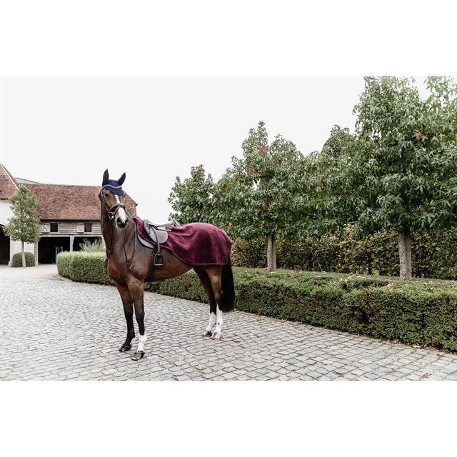 Exercise Sheet Kentucky Heavy Fleece Dark Red
