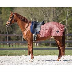 Exercise Sheet QHP Quarter Classy Light Pink