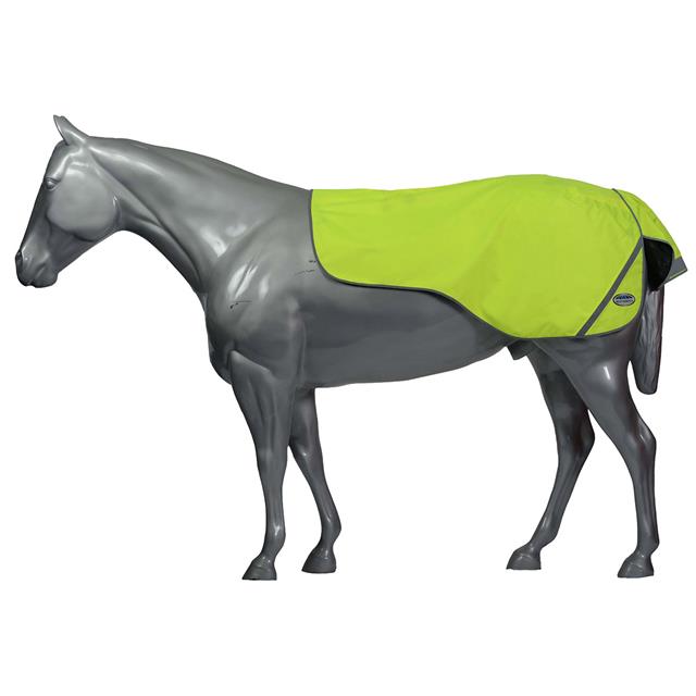 Exercise Sheet WeatherBeeta 300D Reflective Yellow